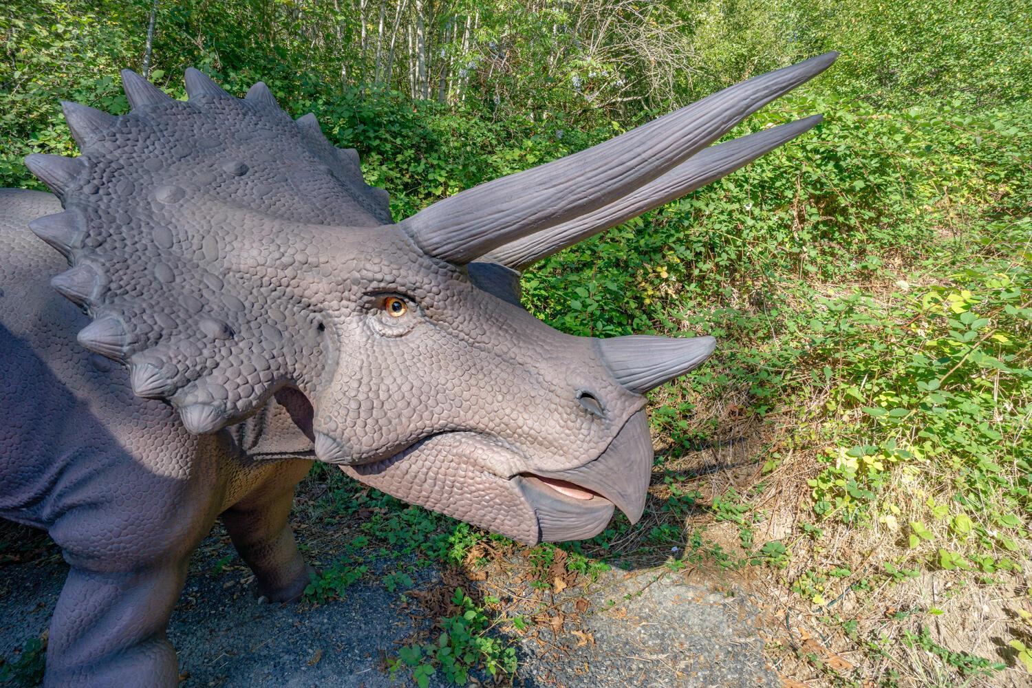 Jurassic Rebirth Out On Jul 2 - Book Your Stay Now (Adults Only) Washougal المظهر الخارجي الصورة