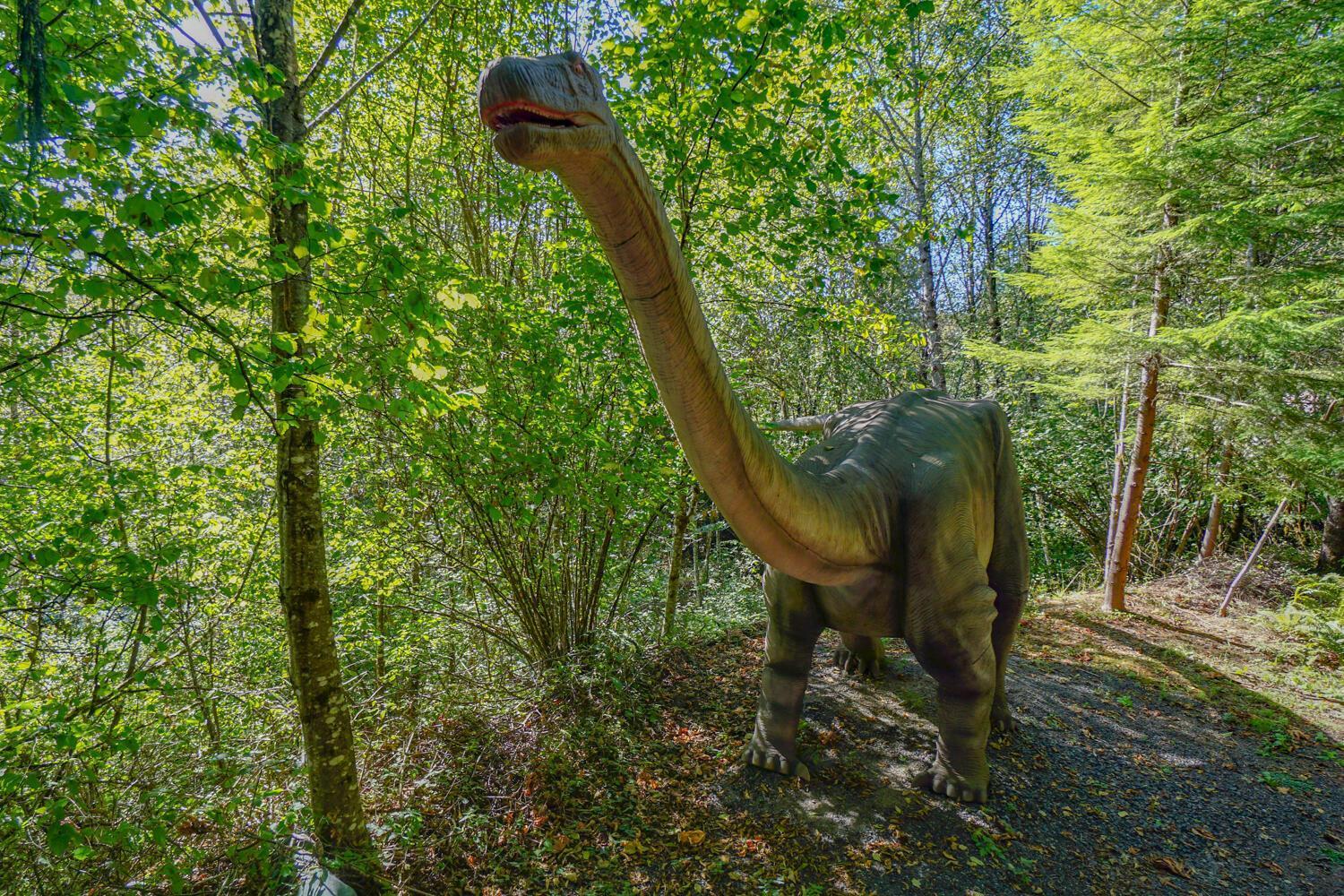 Jurassic Rebirth Out On Jul 2 - Book Your Stay Now (Adults Only) Washougal المظهر الخارجي الصورة